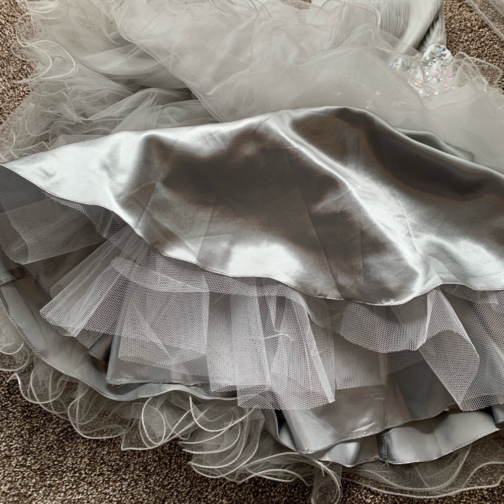 Prom Dress - Picture 5 of 8